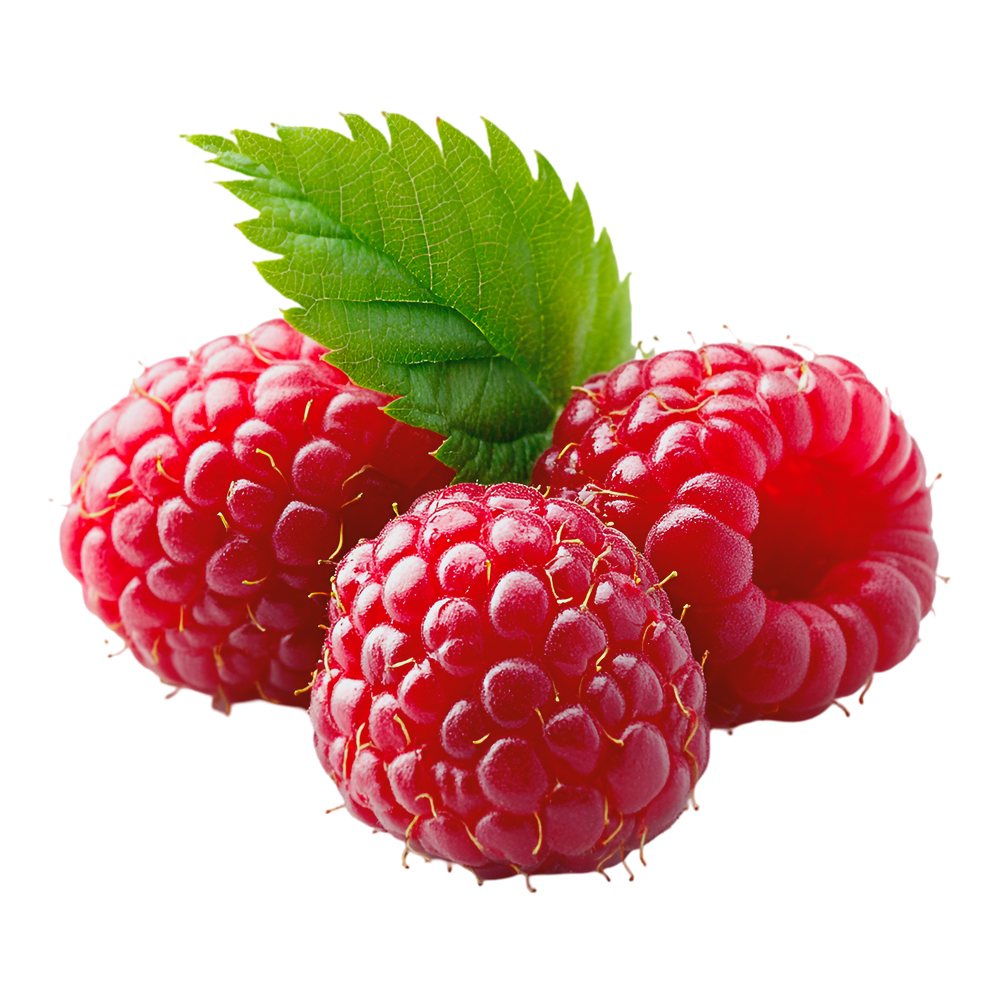 Amoras
