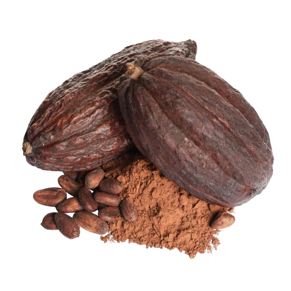 Extrato de cacau